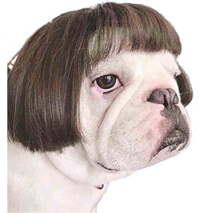 Pet Wigs for Halloween, Christmas, Parties, Festivals Pet Wigs for Halloween, Christmas, Parties, Festivals