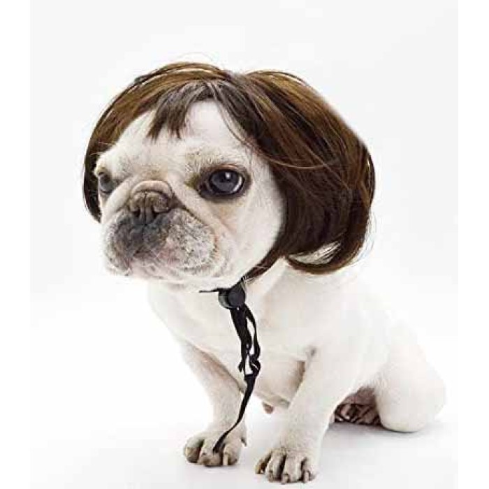 Pet Wigs for Halloween, Christmas, Parties, Festivals Pet Wigs for Halloween, Christmas, Parties, Festivals