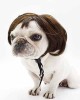 Pet Wigs for Halloween, Christmas, Parties, Festivals Pet Wigs for Halloween, Christmas, Parties, Festivals