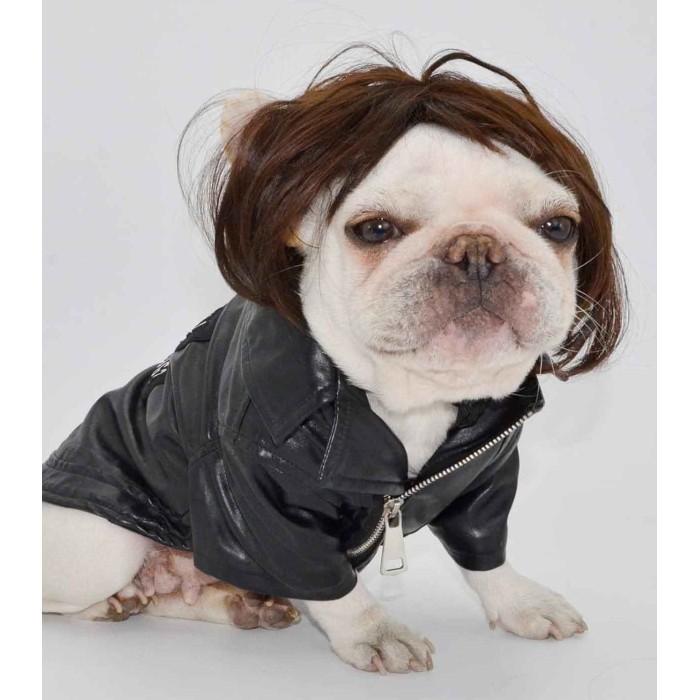 Pet Wigs for Halloween, Christmas, Parties, Festivals Pet Wigs for Halloween, Christmas, Parties, Festivals