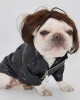 Pet Wigs for Halloween, Christmas, Parties, Festivals Pet Wigs for Halloween, Christmas, Parties, Festivals