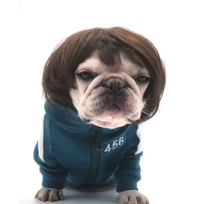Pet Wigs for Halloween, Christmas, Parties, Festivals Pet Wigs for Halloween, Christmas, Parties, Festivals