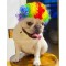 Funny Dog Cat Cosplay Wig