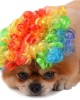 Funny Black Curly Dog Wig, Cat Cosplay Wig Funny Black Curly Dog Wig, Cat Cosplay Wig