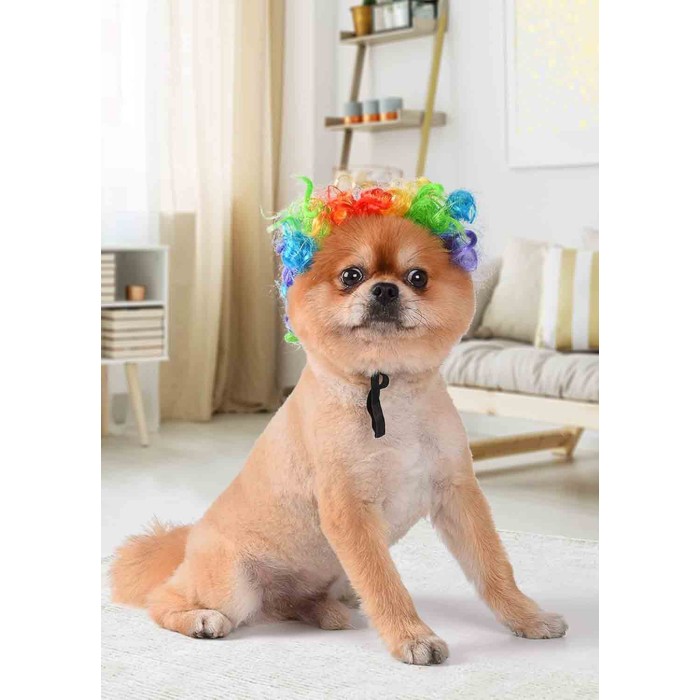 Funny Black Curly Dog Wig, Cat Cosplay Wig Funny Black Curly Dog Wig, Cat Cosplay Wig