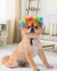 Funny Black Curly Dog Wig, Cat Cosplay Wig Funny Black Curly Dog Wig, Cat Cosplay Wig