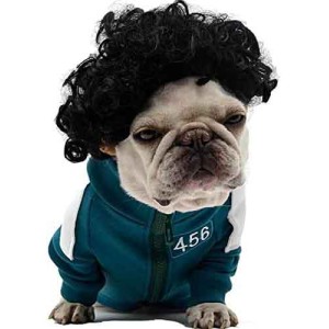 Funny Black Curly Dog Wig, Cat Cosplay Wig Funny Black Curly Dog Wig, Cat Cosplay Wig