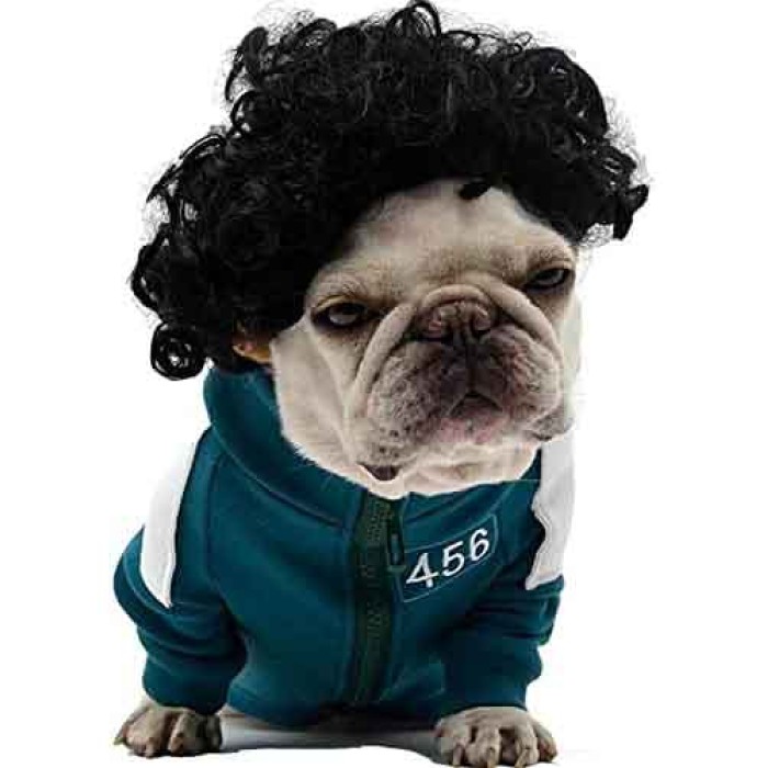Funny Black Curly Dog Wig, Cat Cosplay Wig Funny Black Curly Dog Wig, Cat Cosplay Wig