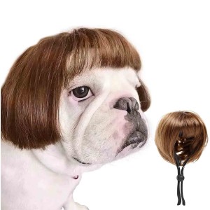 Funny Pet Hair Accessories Decoration for Halloween, Christmas, Parties Funny Pet Hair Accessories Decoration for Halloween, Christmas, Parties