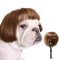 Funny Pet Hair Accessories Decoration for Halloween, Christmas, Parties