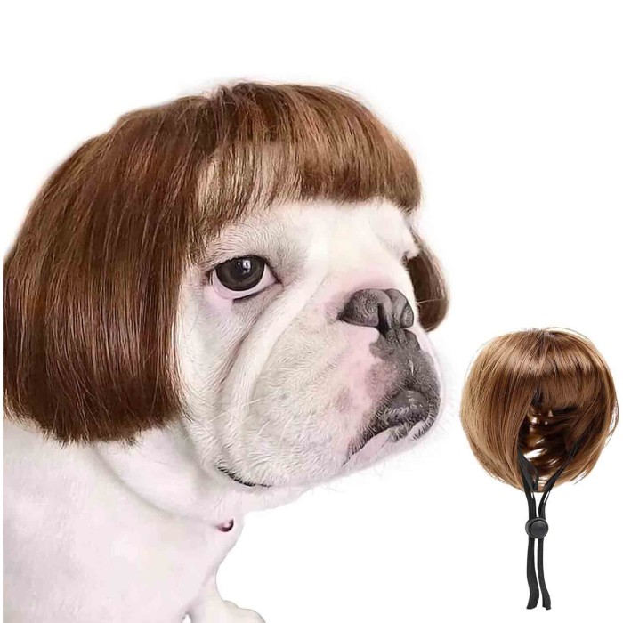 Funny Pet Hair Accessories Decoration for Halloween, Christmas, Parties Funny Pet Hair Accessories Decoration for Halloween, Christmas, Parties
