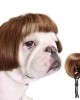 Funny Pet Hair Accessories Decoration for Halloween, Christmas, Parties Funny Pet Hair Accessories Decoration for Halloween, Christmas, Parties