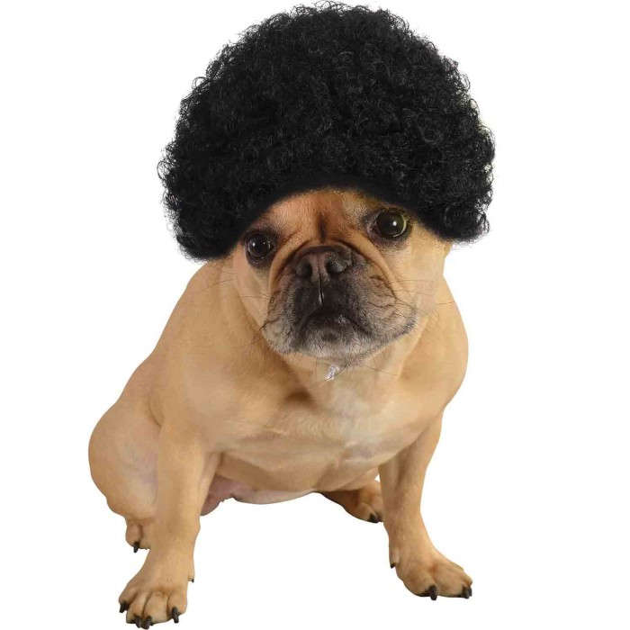 Pet Costume Afro Curly Wig Pet Costume Afro Curly Wig