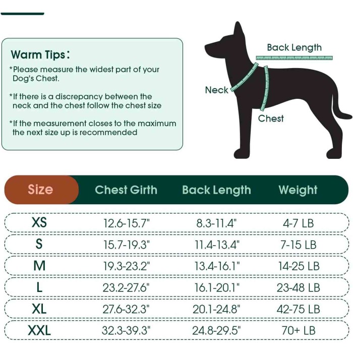 Recovery Suit for Dogs Cats After Surgery Recovery Suit for Dogs Cats After Surgery