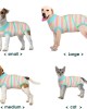 Recovery Suit for Dogs Cats After Surgery Recovery Suit for Dogs Cats After Surgery