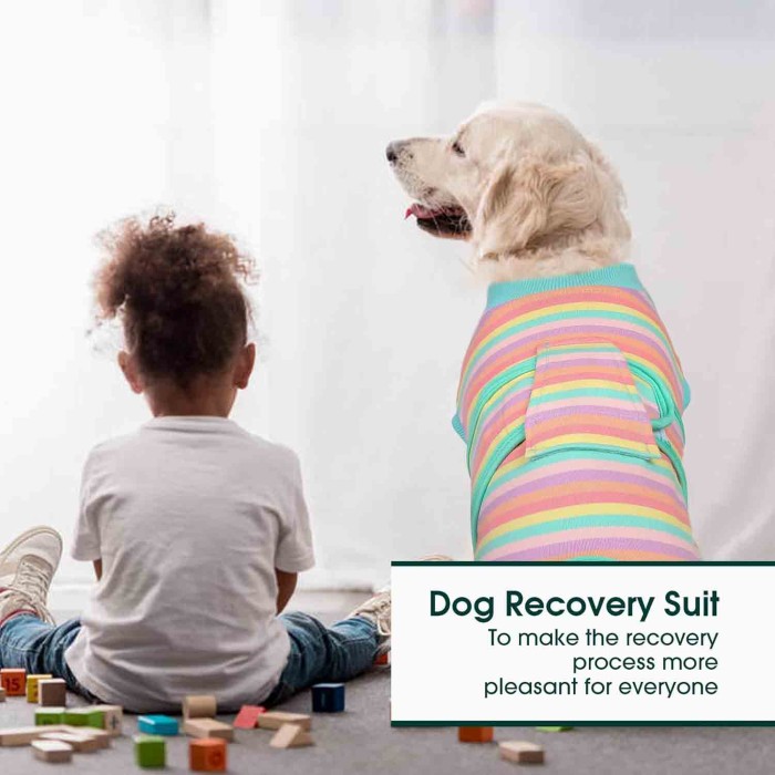 Recovery Suit for Dogs Cats After Surgery Recovery Suit for Dogs Cats After Surgery