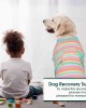 Recovery Suit for Dogs Cats After Surgery Recovery Suit for Dogs Cats After Surgery