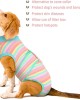 Recovery Suit for Dogs Cats After Surgery Recovery Suit for Dogs Cats After Surgery