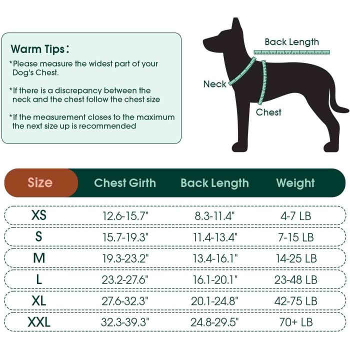 Recovery Suit for Dogs Cats After Surgery Recovery Suit for Dogs Cats After Surgery