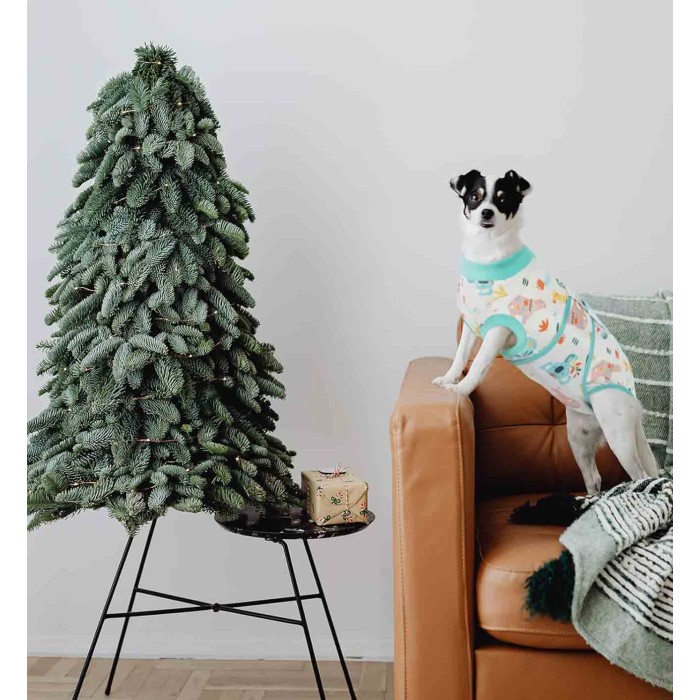 Recovery Suit for Dogs Cats After Surgery Recovery Suit for Dogs Cats After Surgery