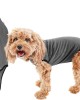 Soft Cotton After Surgery Dog Recovery Suit Female and Male Soft Cotton After Surgery Dog Recovery Suit Female and Male