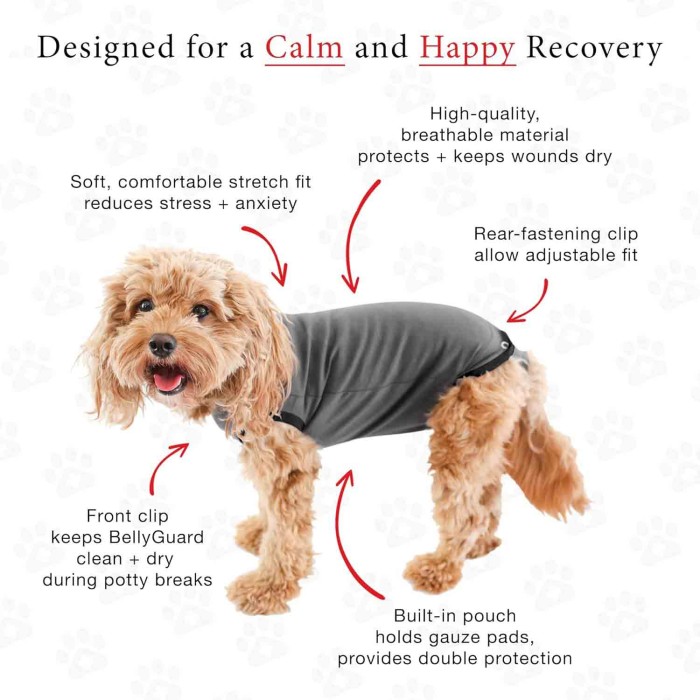 Soft Cotton After Surgery Dog Recovery Suit Female and Male Soft Cotton After Surgery Dog Recovery Suit Female and Male