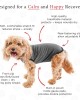 Soft Cotton After Surgery Dog Recovery Suit Female and Male Soft Cotton After Surgery Dog Recovery Suit Female and Male