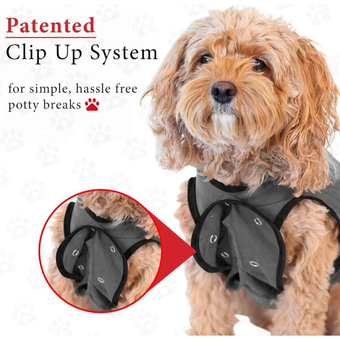 Soft Cotton After Surgery Dog Recovery Suit Female and Male Soft Cotton After Surgery Dog Recovery Suit Female and Male