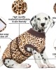 Anti-Licking Pet Surgical Recovery Snugly Suit Anti-Licking Pet Surgical Recovery Snugly Suit