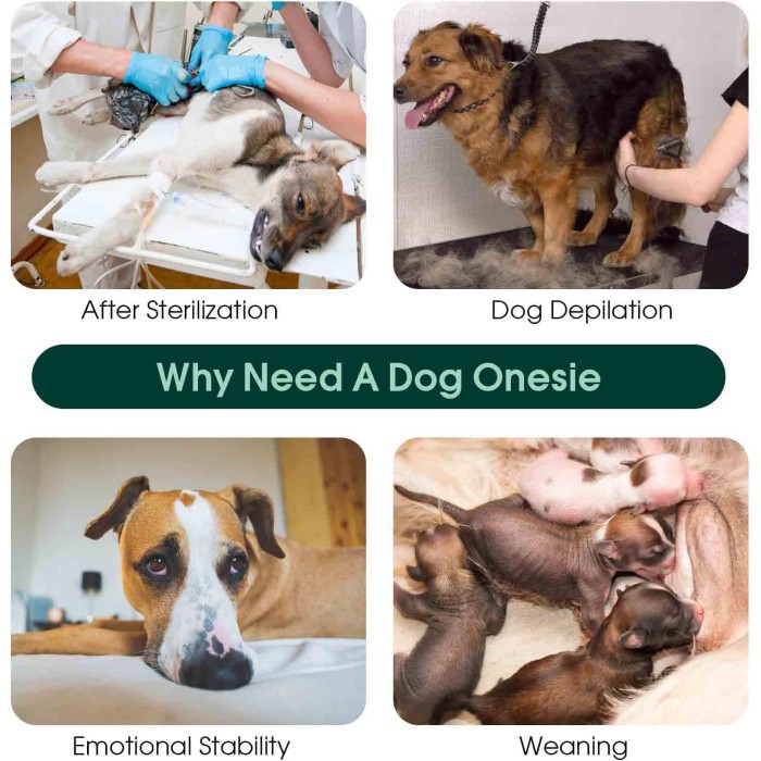 Anti-Licking Pet Surgical Recovery Snugly Suit Anti-Licking Pet Surgical Recovery Snugly Suit