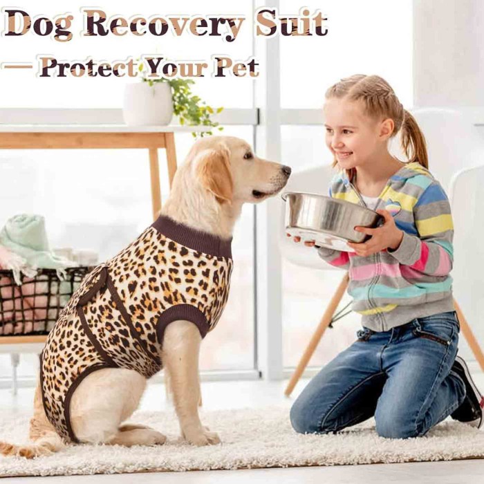 Anti-Licking Pet Surgical Recovery Snugly Suit Anti-Licking Pet Surgical Recovery Snugly Suit
