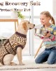 Anti-Licking Pet Surgical Recovery Snugly Suit Anti-Licking Pet Surgical Recovery Snugly Suit